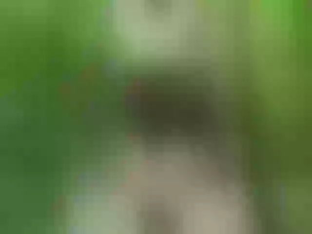 Live sex webcam photo for Pussechka #291239062