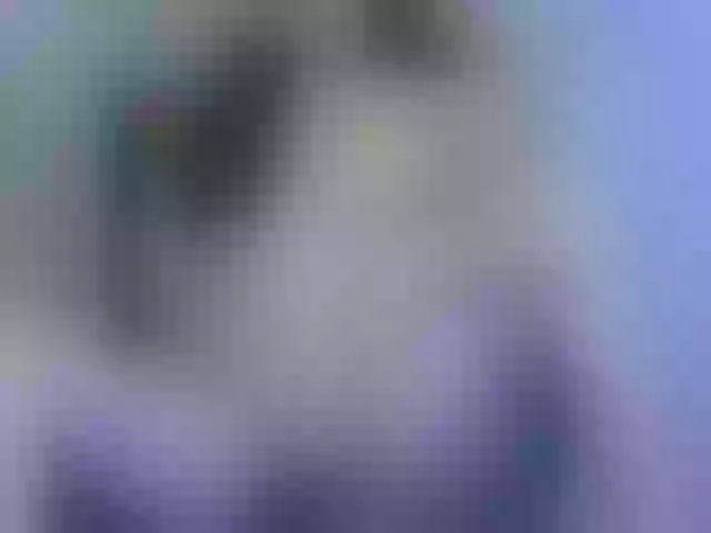 Live sex webcam photo for PussyMaya1 #273085488
