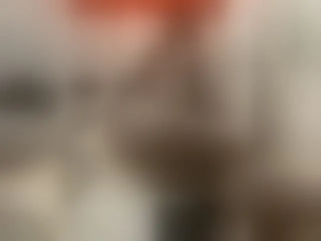 Live sex webcam photo for Pvalley #293852615