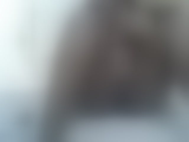 Live sex webcam photo for Queen-Triz #291113529