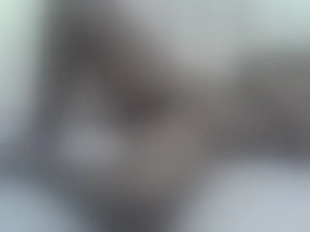 Live sex webcam photo for Queen-Triz #291159682