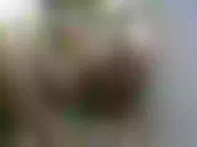 Live sex webcam photo for Queen-jay #273948361