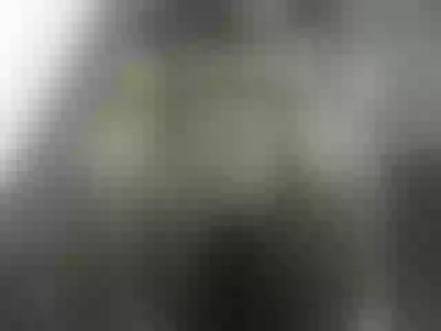 Live sex webcam photo for Queen-jay #274066805