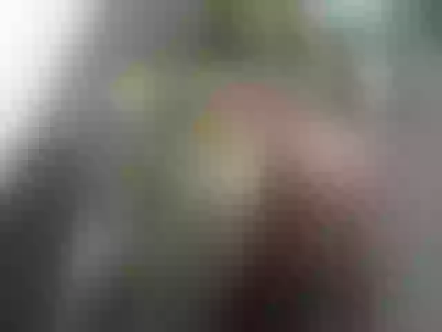 Live sex webcam photo for Queen-jay #274069404
