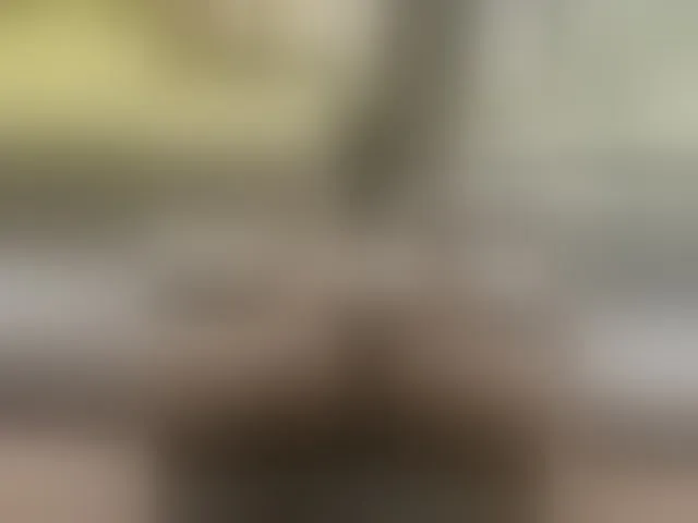 Live sex webcam photo for Queen-love #294223214