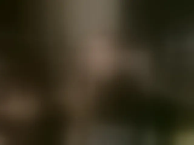 Live sex webcam photo for QueenAfina #293678248