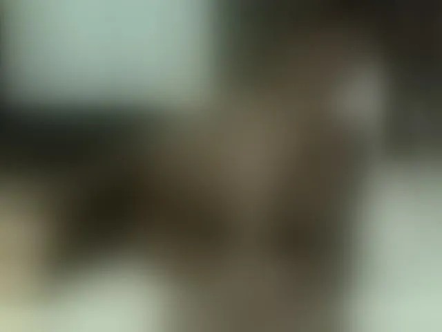 Live sex webcam photo for QueenJacky #290892623