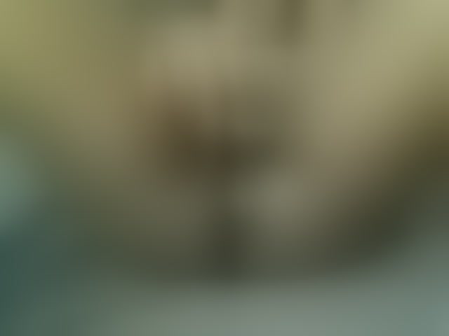 Live sex webcam photo for QueenJacky #291203978
