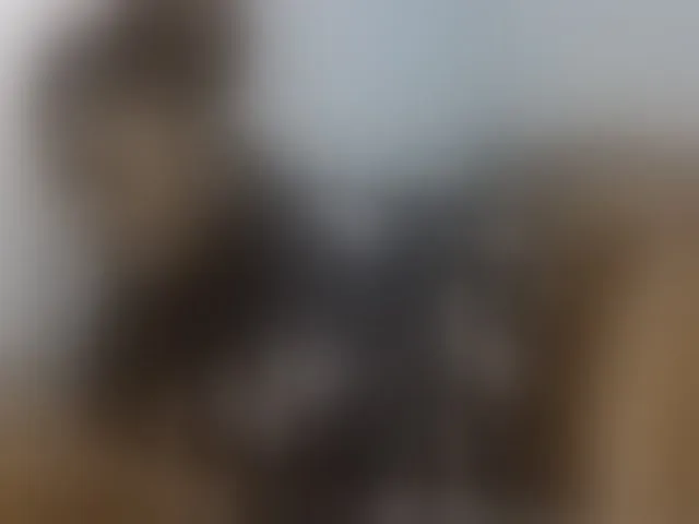Live sex webcam photo for QueenJacky #292277608