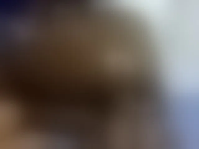 Live sex webcam photo for QueenJacky #292809538
