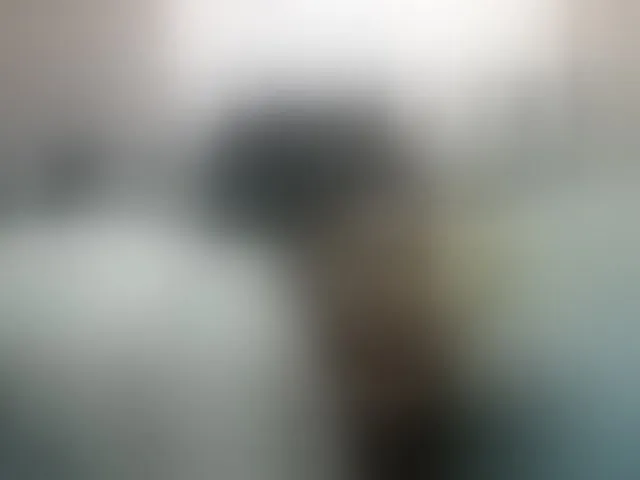 Live sex webcam photo for Queenafrica #293527812
