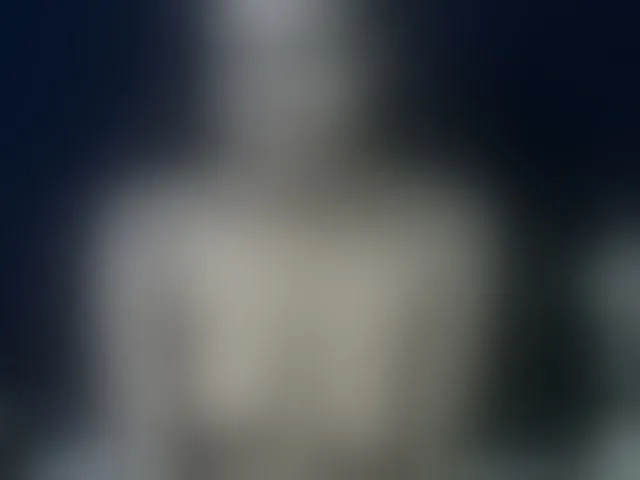 Live sex webcam photo for Queenbeea #293656891