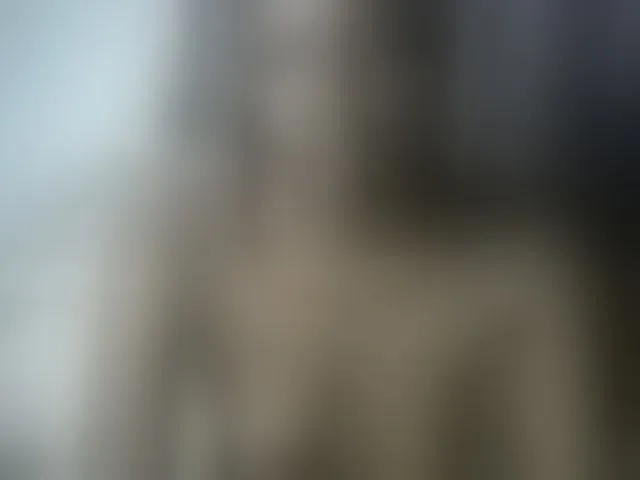 Live sex webcam photo for Queenbeea #293720187