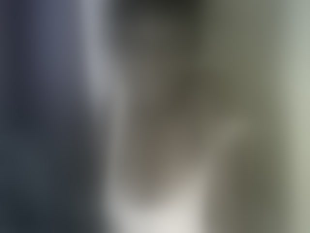Live sex webcam photo for Queenbeea #293941767