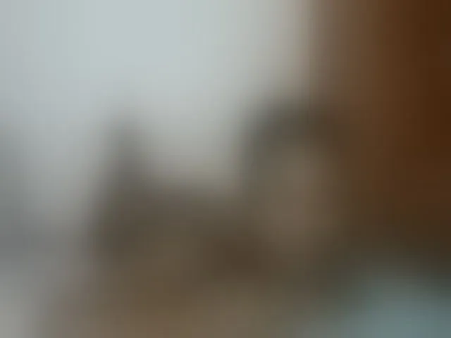 Live sex webcam photo for Queenmaya #293761929