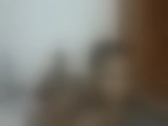 Live sex webcam photo for Queenmaya #293796680