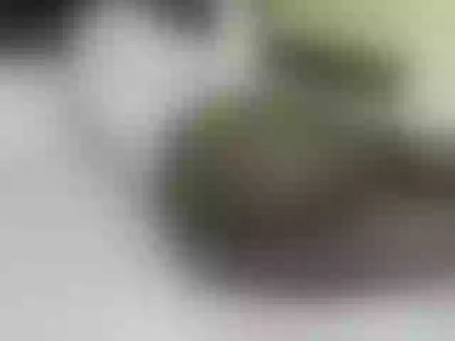 Live sex webcam photo for Quincy-joy #290404327