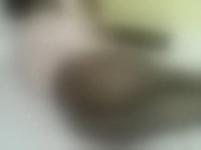 Live sex webcam photo for Quincy-joy #290418289