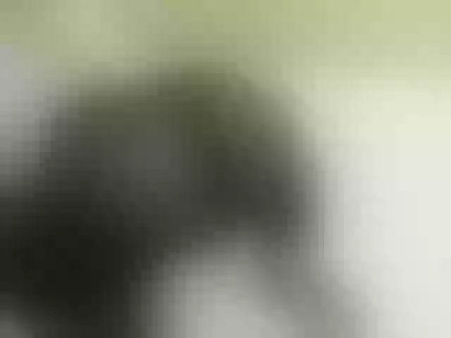 Live sex webcam photo for Quincy-joy #290489258