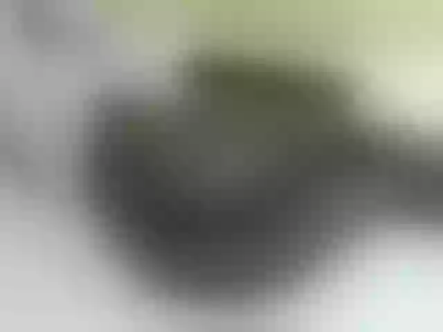 Live sex webcam photo for Quincy-joy #290499306