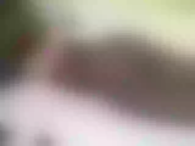 Live sex webcam photo for Quincy-joy #290576278