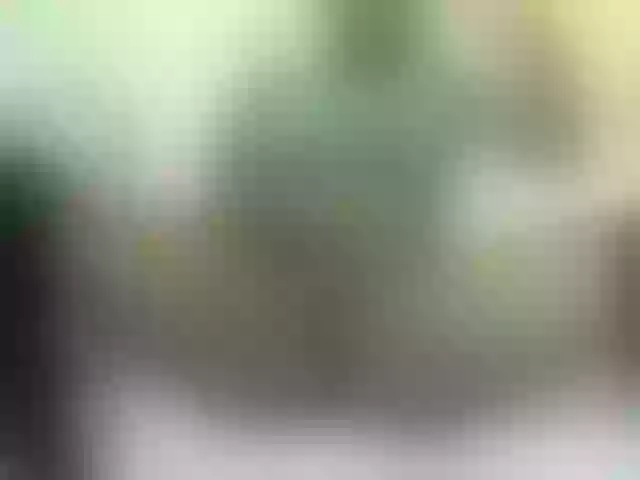 Live sex webcam photo for Quincy-joy #290592216