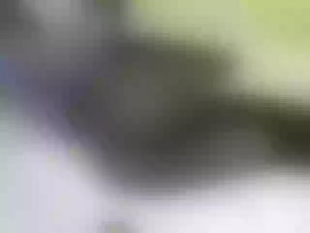 Live sex webcam photo for Quincy-joy #290603999