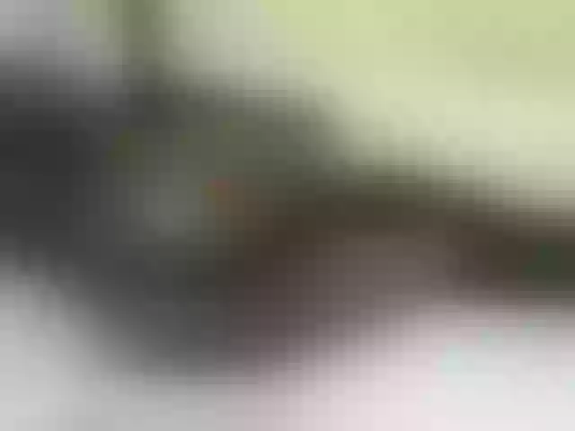 Live sex webcam photo for Quincy-joy #290621107