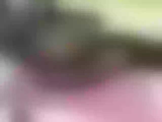Live sex webcam photo for Quincy-joy #290650841