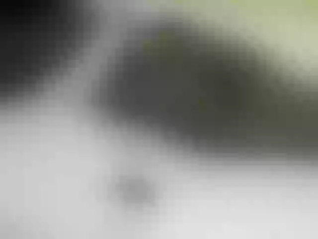 Live sex webcam photo for Quincy-joy #290667058
