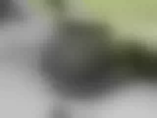 Live sex webcam photo for Quincy-joy #290879470