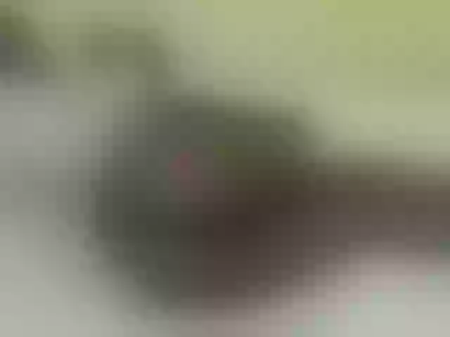 Live sex webcam photo for Quincy-joy #290886981