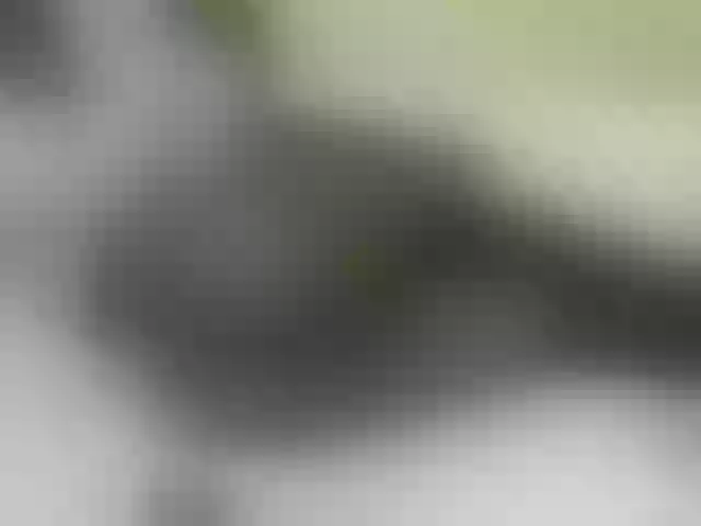 Live sex webcam photo for Quincy-joy #290905843