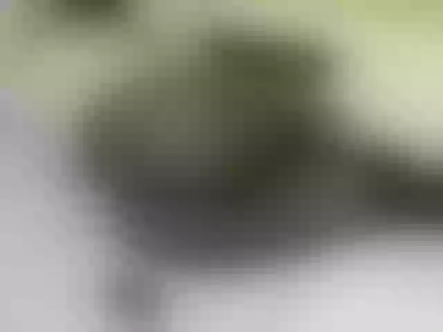 Live sex webcam photo for Quincy-joy #291217964