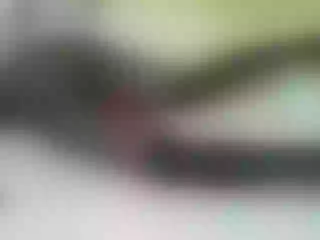 Live sex webcam photo for Quincy-joy #291281674