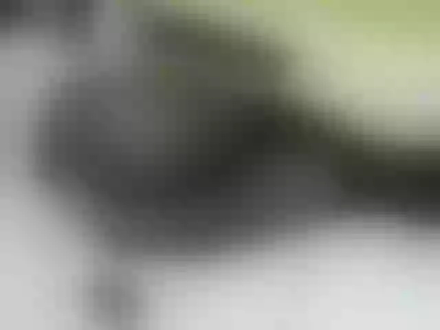 Live sex webcam photo for Quincy-joy #291303219
