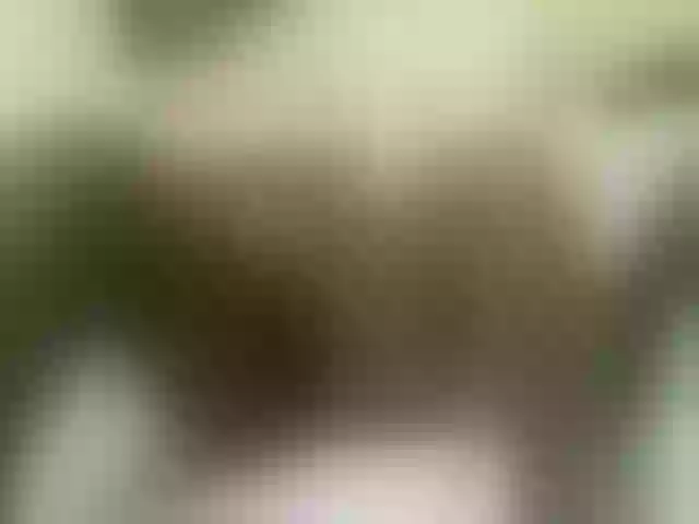 Live sex webcam photo for Quincy-joy #291311860