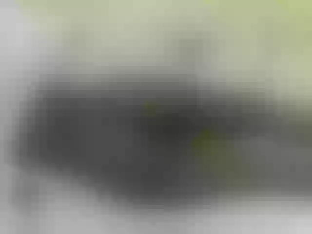 Live sex webcam photo for Quincy-joy #291472905