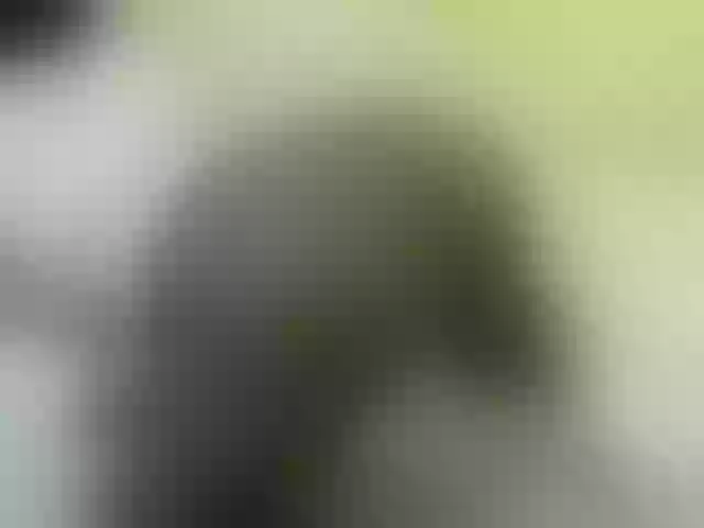 Live sex webcam photo for Quincy-joy #291480304