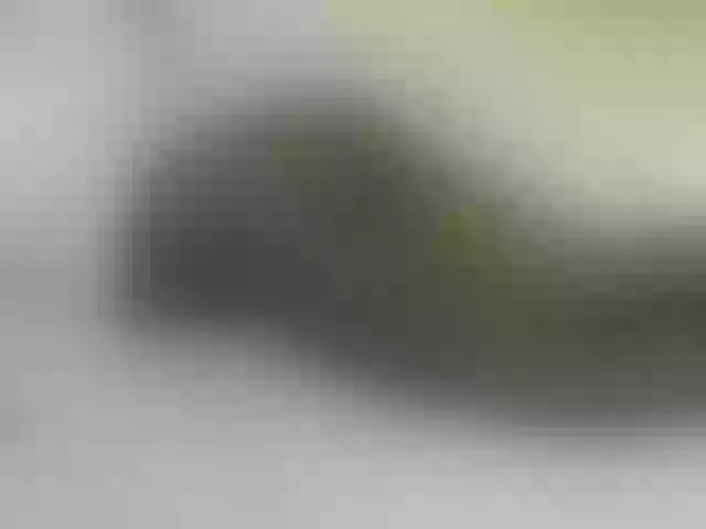 Live sex webcam photo for Quincy-joy #291484018