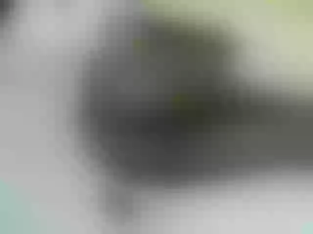 Live sex webcam photo for Quincy-joy #291490921