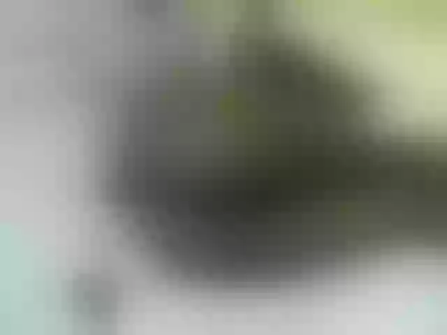 Live sex webcam photo for Quincy-joy #291531408