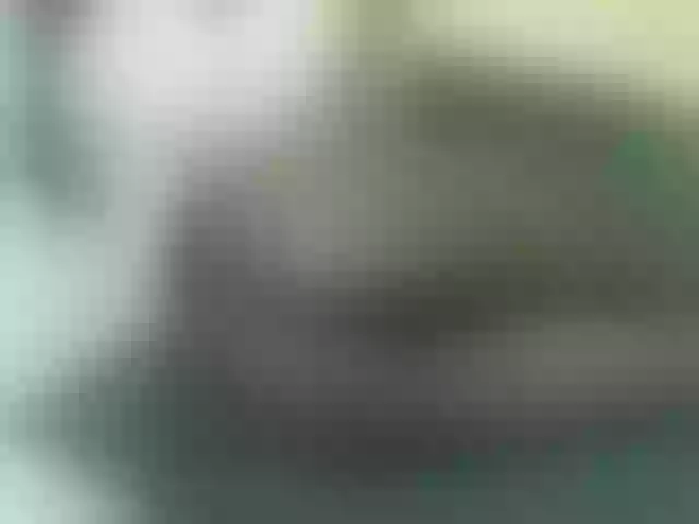Live sex webcam photo for Quincy-joy #291596397