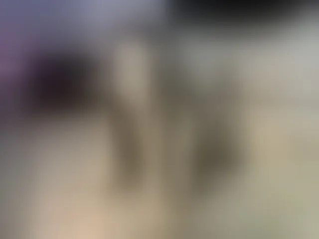 Live sex webcam photo for R-e-l-a-x- #293186406