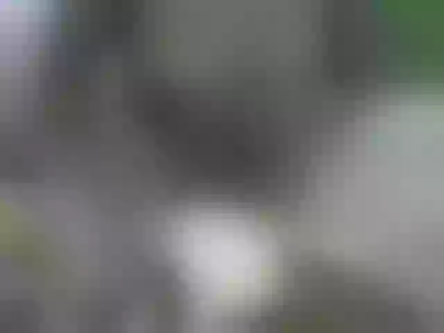 Live sex webcam photo for RAZANAJAZA #275506261