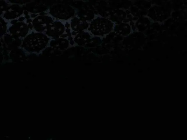 Live sex webcam photo for RAZANAJAZA #275622925