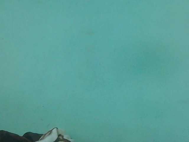 Live sex webcam photo for ROCHELLE1 #278095881