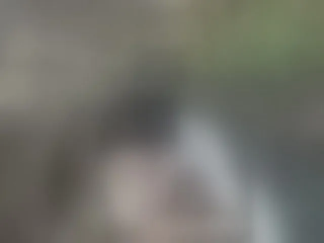 Live sex webcam photo for ROOMEXOTIC11 #292572424