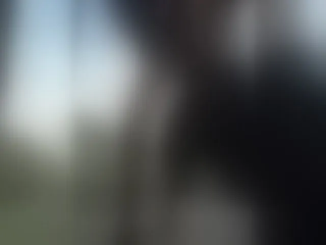 Live sex webcam photo for ROOMEXOTIC11 #293318188