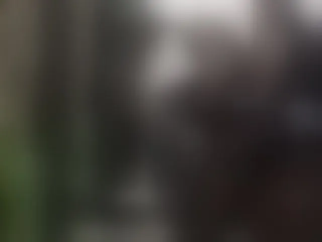 Live sex webcam photo for ROOMEXOTIC11 #293386670